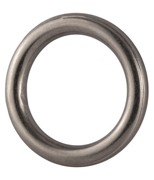 Stainless Steel AISI 316 Round Ring 12x100mm