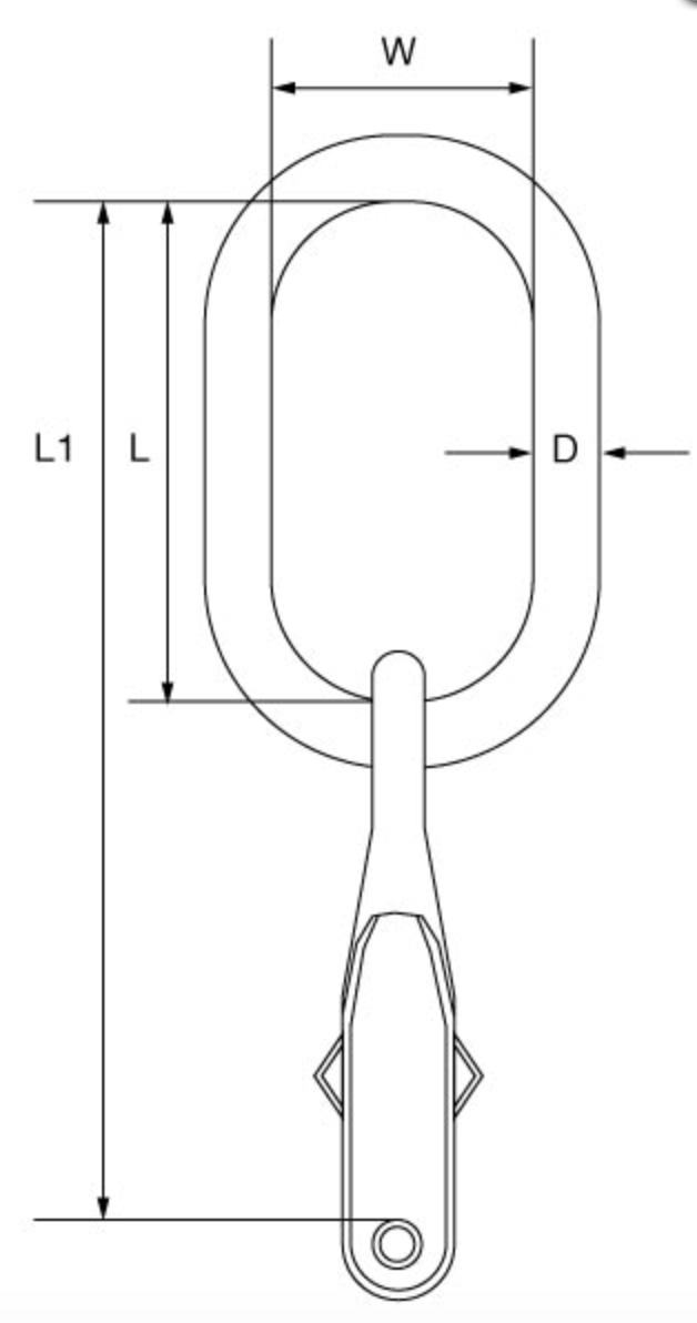 Grade 10 Single Leg Master Link - DG1 Series to BS-EN 1677-4