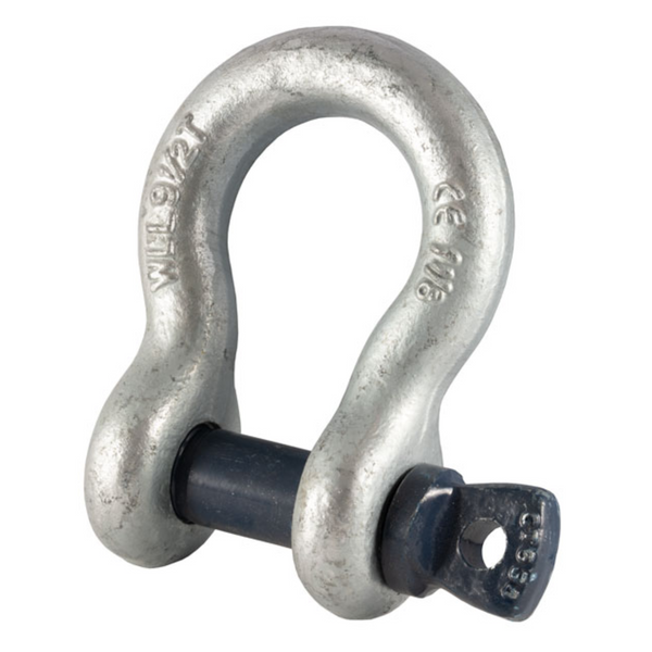 Blue Pin Grade 6 Bow Shackles with Screw Collar Pin