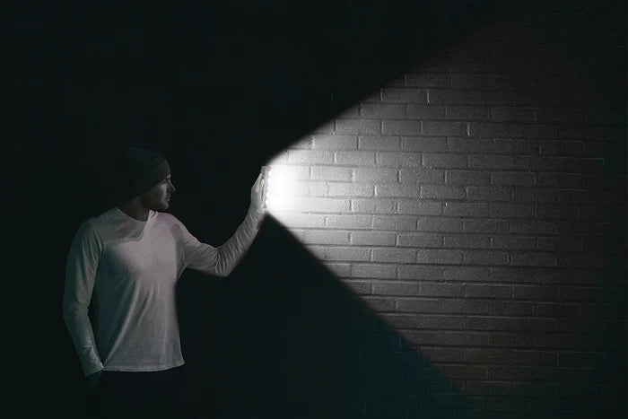 NexSun Corsican - 950 Lumens - Solar Floodlight / Wall Light
