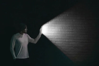 NexSun Corsican - 950 Lumens - Solar Floodlight / Wall Light
