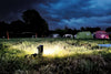 Cobra X - 600/1200 Lumens - Rechargeable Searchlight
