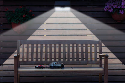 NexSun 1100RC - 1100 Lumens - Solar Wall Light