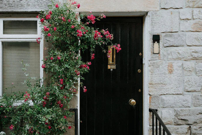 NexSun 2 In 1 - 1000 Lumens - Solar Wall Security Light