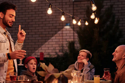 NexSun 400 - 400 Lumens - Solar Wall Light