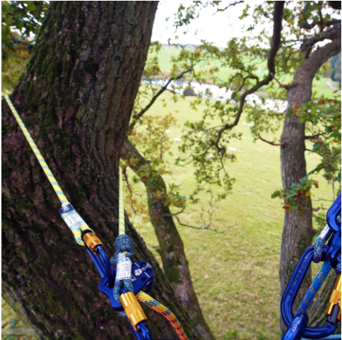 STEIN 3.0m - 9.0m SCE Lanyard - No Hardware (B) Assorted Lengths