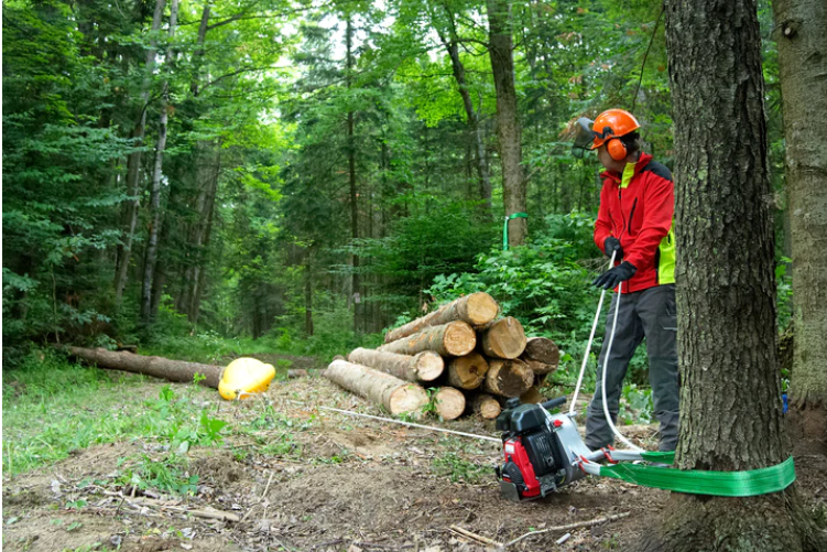 Skidding Cone for Use with Portable Winch