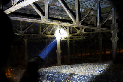 Trigger Pro - 1300 Lumens - Rechargeable Searchlight
