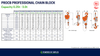 Technical specifications and diagrams of the Tiger PROCB Professional Chain Block 0.25t to 3t capacity