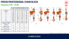 Technical specifications and diagrams of the Tiger PROCB professional chain block 5t-10t capacity