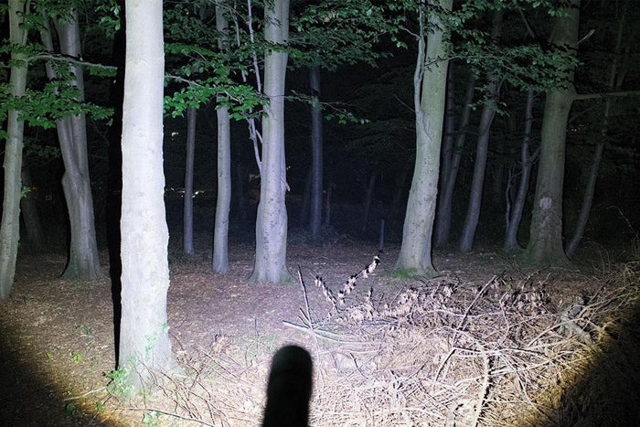 Zoom 500 - 500 Lumens - Rechargeable