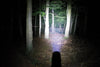 Zoom 500 - 500 Lumens - Rechargeable