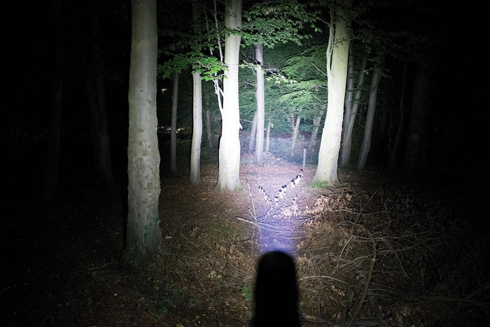 Zoom 500 - 500 Lumens - Rechargeable