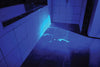 UVLED 365 - 365nm - Rechargeable